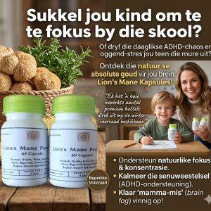 Lion’s Mane Kapsules (60 x Premium Kapsules)